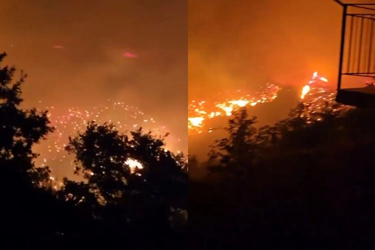 Alanya’da Orman Yangını: Evler Tahliye Edildi, Kayıplar Var